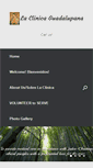 Mobile Screenshot of laclinicaguadalupana.com