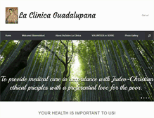 Tablet Screenshot of laclinicaguadalupana.com